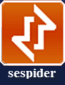 Логотип Sespider